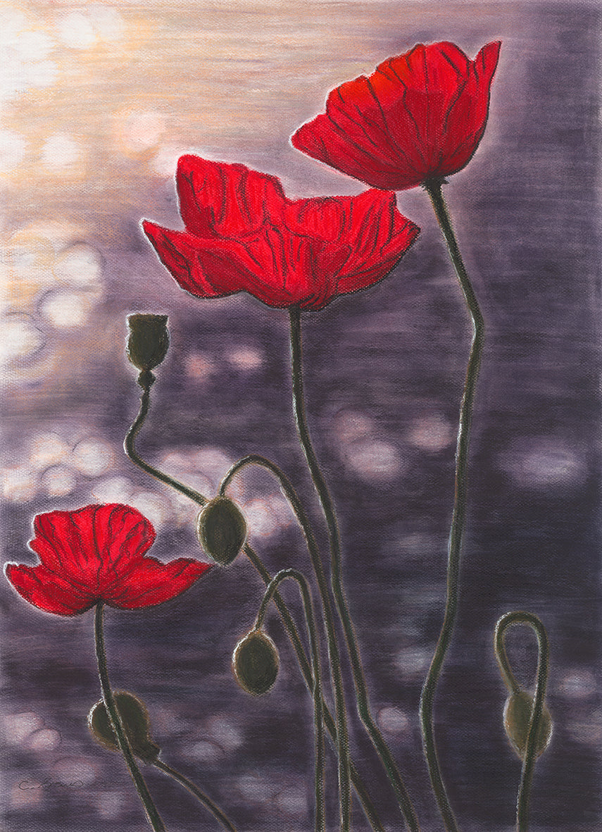 Whispers of Dawn Print