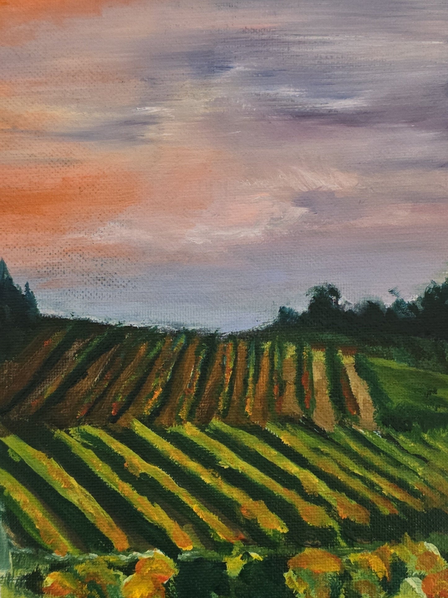 Barossa Vineyard Print | 3 Sizes