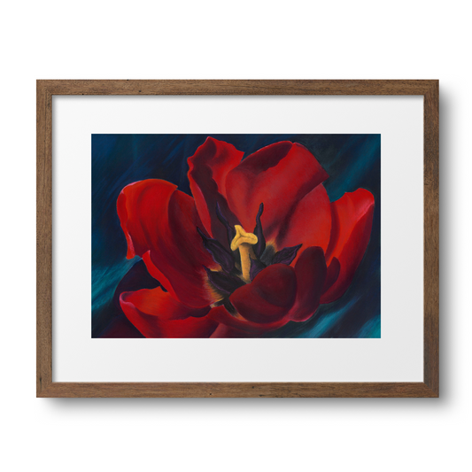Red Tulip. Original Pastel Painting (50 x 70cm)